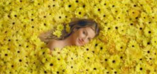 Flores